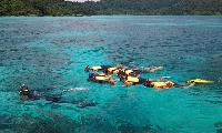 Pattaya koraal eiland tour goedkope snorkel dagtour Pattaya