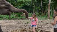 olifanten verzorgen Elephants World River Kwai Kanchanaburi