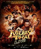 Thai boksen Muay Thai Live Show in Asiatique Bangkok