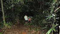 KhaoSok Tree Tops Jungle Safari RAFT HOUSE