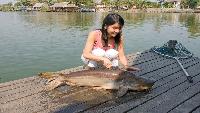 Vissen in Bungsamran Chachoengsao Thailand hengelsport