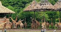 Safari World natuurpark dierentuin in Bangkok