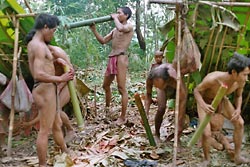 Thaise Bergstam Mlabri fysisch-antropologisch onderzoek