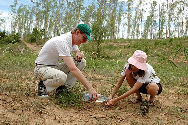 Duurzaam Boomaanplant in Thailand Kuiburi Sustainable Tourism