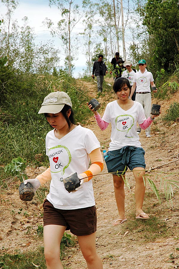 Duurzaam reizen in Thailand Boomaanplant