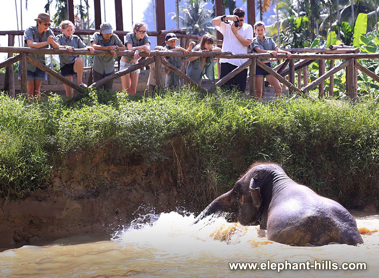 Tentenkamp in Khao Sok National Park prijsgarantie Elephant Hills