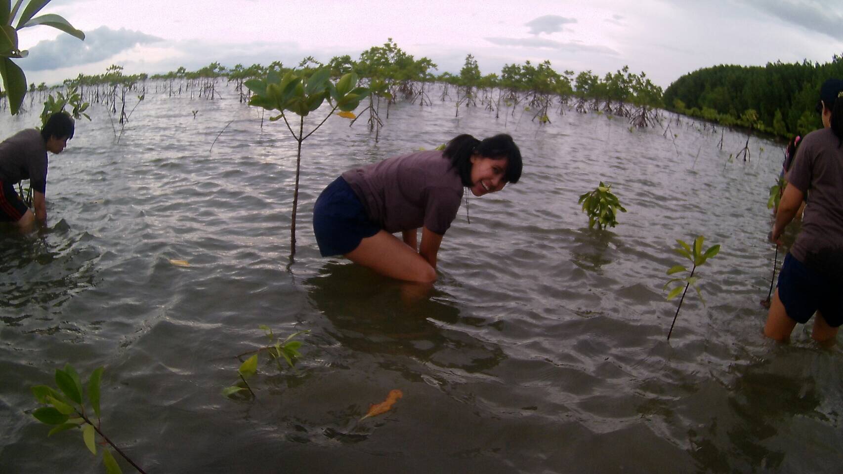 Duurzaam reizen in Thailand mangrove aanplant