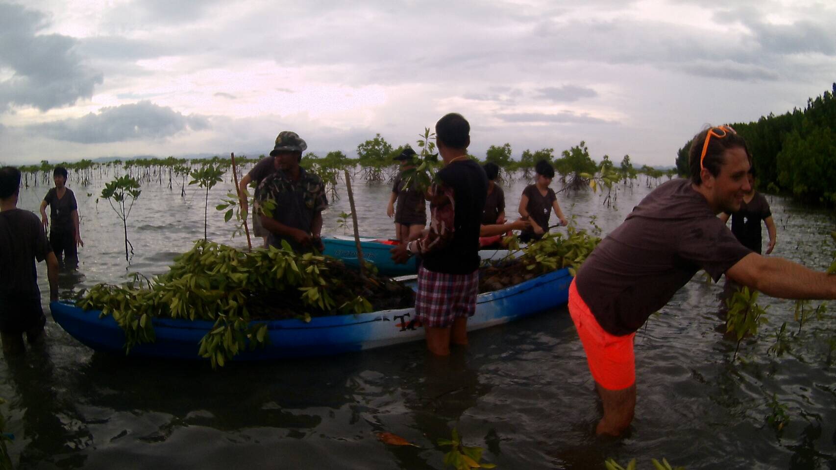 Duurzaam reizen in Thailand mangrove aanplant Chumphon