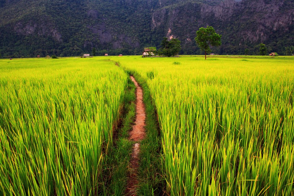 Laos algemeen spannende bestemming