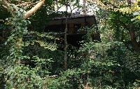 KhaoSok Tree Tops Jungle Safari VOORDELIG OVERNACHTEN