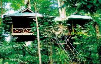Khao Sok Tree Tops Jungle Safari LUXE BOOMHUT