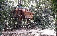 KhaoSok Tree Tops Jungle Safari BOOMHUT PRIJSGARANTIE