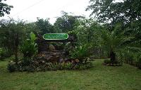 Khao Sok Tree Tops Jungle Safari BAMBOE HUT
