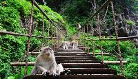 Umphang Jungle Safari Primitieve bergstammen in Thailand