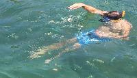 Actief tokkelen en snorkelen KOH PHANGAN Safari