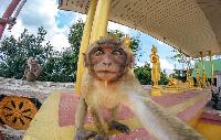 Krabi Spa bronnen en Tiger Cave Temple tour Beste prijs