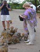 Safaritenten in de bergen van Loei Sirila Farm apen