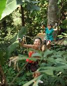 Tokkelen Ziplijnen boom tot boom in Tree Top Adventure Park Koh Chang