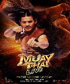 Thai boksen Muay Thai Live Show in Asiatique Bangkok