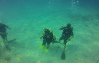 PADI Open Water Diver Duikcursus Koh Tao beste prijs