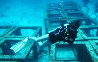 PADI Open Water Diver Duikcursus PHUKET diepzee duiken