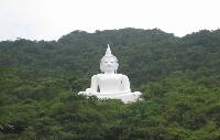 Fietsen naar Pra Khao Tempel en de Witte Boeddha khao yai 1/2 dag tour