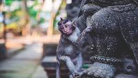 Bali Paradise rondreis op maat Indonesie familie vakantie