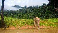 Tropische Eilanden Khao Sok Regenwoud rondreis familie vakantie in Thailand reis op maat