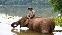 Luang Prabang in de voetsporen van een olifant LAOS PRIVE REIS