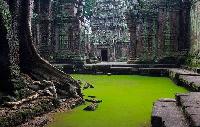 Angkor Wat en Phnom Penh Cambodja LAAGSTE PRIJSGARANTIE