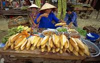 Vietnam rondreis op maat familie vakantie