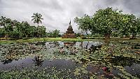 Eigenwijs Thailand Promotie rondreis familie vakantie in Thailand Lotus vijver