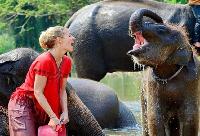 Olifanten mahout cursus Baan Chang 3 dagen