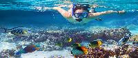 De onvergetelijke Similan eilanden VOORDELIG snorkelen