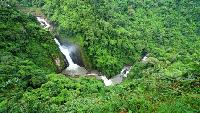 Jungle en watervallen in Khao Yai National Park dag tour Voordelig
