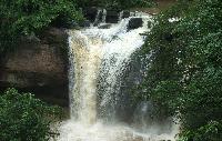 Jungle en watervallen in Khao Yai National Park Voordelig naar Thailand