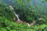 Jungle en watervallen in Khao Yai National Park Voordelig naar Thailand