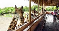 Safari World natuurpark dierentuin in Bangkok