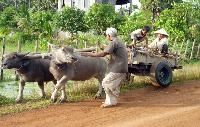 Ontdek landelijk Cambodja voordeel prijs reisadvies