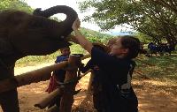 Plezier met de olifanten van Baan Chang