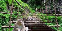Khao Sok Kanotocht en Monkey Temple jungle jong en oud