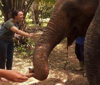 olifanten voederen en baden khao sok jungle