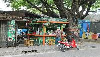 Tropical Paradise @ Green Wood Travel Bangkok