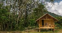 Our Jungle Camp Eco Resort Khao Sok National Park