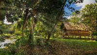 Our Jungle Camp Eco Resort Khao Sok natuurpark Thailand