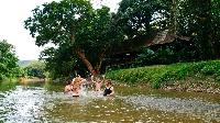 Khao Sok Riverside Cottages Thailand jungle