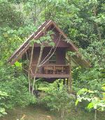 Khao Sok Paradise Resort jungle Thailand