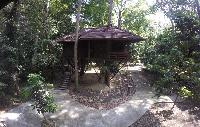 Khao Sok Nature Resort boomhut in de jungle